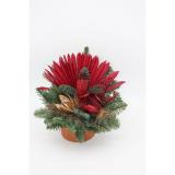 Plantiflor Deko-Grabschale 105185 HELLWEG 1 Stück