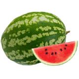 Promotion Bild von XXL Riesen Wassermelone Lidl 1 Kilogramm