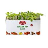 Zurück zum Ursprung BIO-Tomatenpflanzen versch. Sorten HOFER 1 Packung