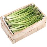 Spargel Grün, Preisangabe ohne MwSt. (Preis inkl. MwSt. 14,29 €), METRO 1 Kilogramm