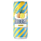 Promotion Bild von Radlberger Limonade versch. Sorten HOFER 330 Milliliter 1 Dose