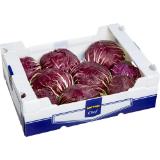 Metro Chef Radicchio, Preisangabe ohne MwSt. (Preis inkl. MwSt. 2,74 €), METRO 1 Kilogramm