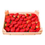 Erdbeeren Penny 900 Gramm 1 Kiste