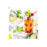 Gin Gläser div. Sorten HOFER 4 Stück
