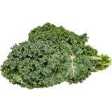 BIO Grünkohl grün od. rot, Preisangabe ohne MwSt. (Preis inkl. MwSt. 2,96 €), METRO 250 Gramm 1 Packung