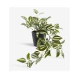 Kunstpflanze ASGAR 4912340 JYSK 1 Stück