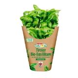 Spar Natur pur würziger Bio-Basilikum EUROSPAR 1 Stück
