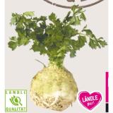 Mahlerhof Ländle Knollen-Sellerie Sutterlüty 1 Kilogramm