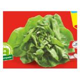 Bild von HOFER Marktplatz Kopfsalat aus Österreich HOFER 1 Stück