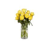 Fairtrade Rosen Lidl 10 Stück