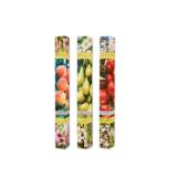 Obstbaum in Faltschachtel div. Sorten Lidl 1 Stück