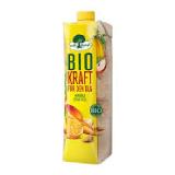 Willi Dungl Bio-Kraft od. -Munter & Aktiv BILLA PLUS 1 Liter 1 Packung