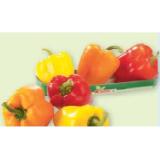 SPAR Paprika Mix Maximarkt 500 Gramm 1 Packung