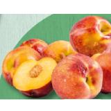 SPAR PREMIUM fruchtige Pfirsiche gelbfleischig SPAR 1 Kilogramm