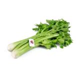 Ja! Natürlich Bio-Stangensellerie BILLA PLUS 1 Bund