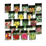 Exklusive Blumenzwiebeln versch. Sorten HOFER 1 Packung