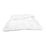 Tencel-Sommerdecke B2000701 Betten Reiter 1 Stück
