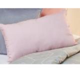 Promotion Bild von Kissen Samt-Optik 30x50 cm TEDi 1 Stück