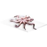 Promotion Bild von Oktopus, Preisangabe ohne MwSt. (Preis inkl. MwSt. 17,59 €), METRO 1 Kilogramm