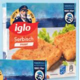 iglo Polardorsch Müllerin oder Serbisch HOFER 300 Gramm 1 Packung