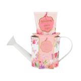 ACCENTRA Blossom Bade-Set BIPA 1 Set