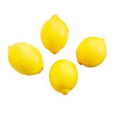 Bio Zitronen Lidl APP Preis 500 Gramm 1 Packung