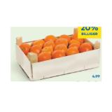 Clementinen T&G 2.30 Kilogramm 1 Kiste