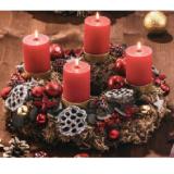 Graumooskranz rubin HOFER 1 Stück