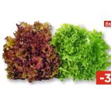 Promotion Bild von Lollo Rosso oder Lollo Bionda Unimarkt 1 Stück