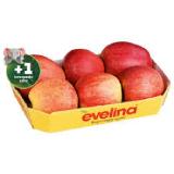 evelina Apfeltasse jö Bonus Club Preis Penny 1 Kilogramm