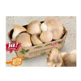 Promotion Bild von Ja! Natürlich Bio-Kräuterseitlinge BILLA PLUS 150 Gramm 1 Packung