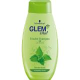 Bild von Schwarzkopf Glem Vital Shampoo Brennessel, Preisangabe ohne MwSt. (Preis inkl. MwSt. 2,17 €), METRO 350 Milliliter 1 Flasche