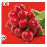 Zurück zum Ursprung Bio-Radieschen aus Österreich HOFER 1 Bund