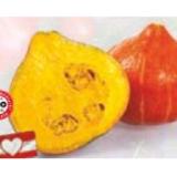 Promotion Bild von Zurück zum Ursprung Bio-Kürbis aus Österreich HOFER 1 Kilogramm