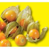 Physalis Lidl APP Preis 200 Gramm