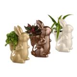 Glänzender Keramik-Osterhase mit Grünpflanze Verschiedene Farben und Bepflanzungen Lidl 1 Stück