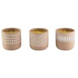 Duftkerze „Citronella“ 4368004401 XXXLutz 1 Stück