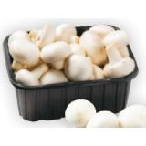 Champignons BILLA PLUS