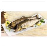 Bild von tirolfisch Bachforelle INTERSPAR 100 Gramm