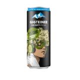 Gasteiner Infinity Water Verschiedene Sorten INTERSPAR 0.33 Liter 1 Dose