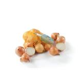 Spar Natur pur würzige Gelbe Bio-Zwiebel SPAR 750 Gramm 1 Netz