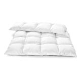 Reiter Daunendecke „Sonja“ P6101201 Betten Reiter 1 Stück
