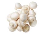 Promotion Bild von Champignons weiß Lidl APP Preis 500 Gramm