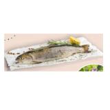 Fischzucht Vötter Kwell-Saibling INTERSPAR 100 Gramm
