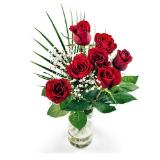 Roter Rosenstrauss Weltfrauentag Schleierkraut oder Eukalyptus HOFER 7 Stück