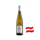 Steininger Grüner Veltliner Kamptal DAC 2024 BILLA 0.75 Liter 1 Flasche