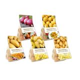 Pflanzkartoffeln für den Eigenanbau Verschiedene Sorten Lidl 1 Packung