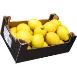 BIO Zitronen, Preisangabe ohne MwSt. (Preis inkl. MwSt. 3,51 €), METRO 1 Kilogramm