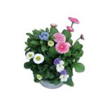 Frühlingsquartett Lidl 1 Stück