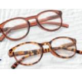 Lesehilfe Diotrien +1,0 bis +3,0 versch. Farben und Modelle HOFER 1 Stück